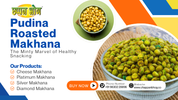 Pudina Roasted Makhana